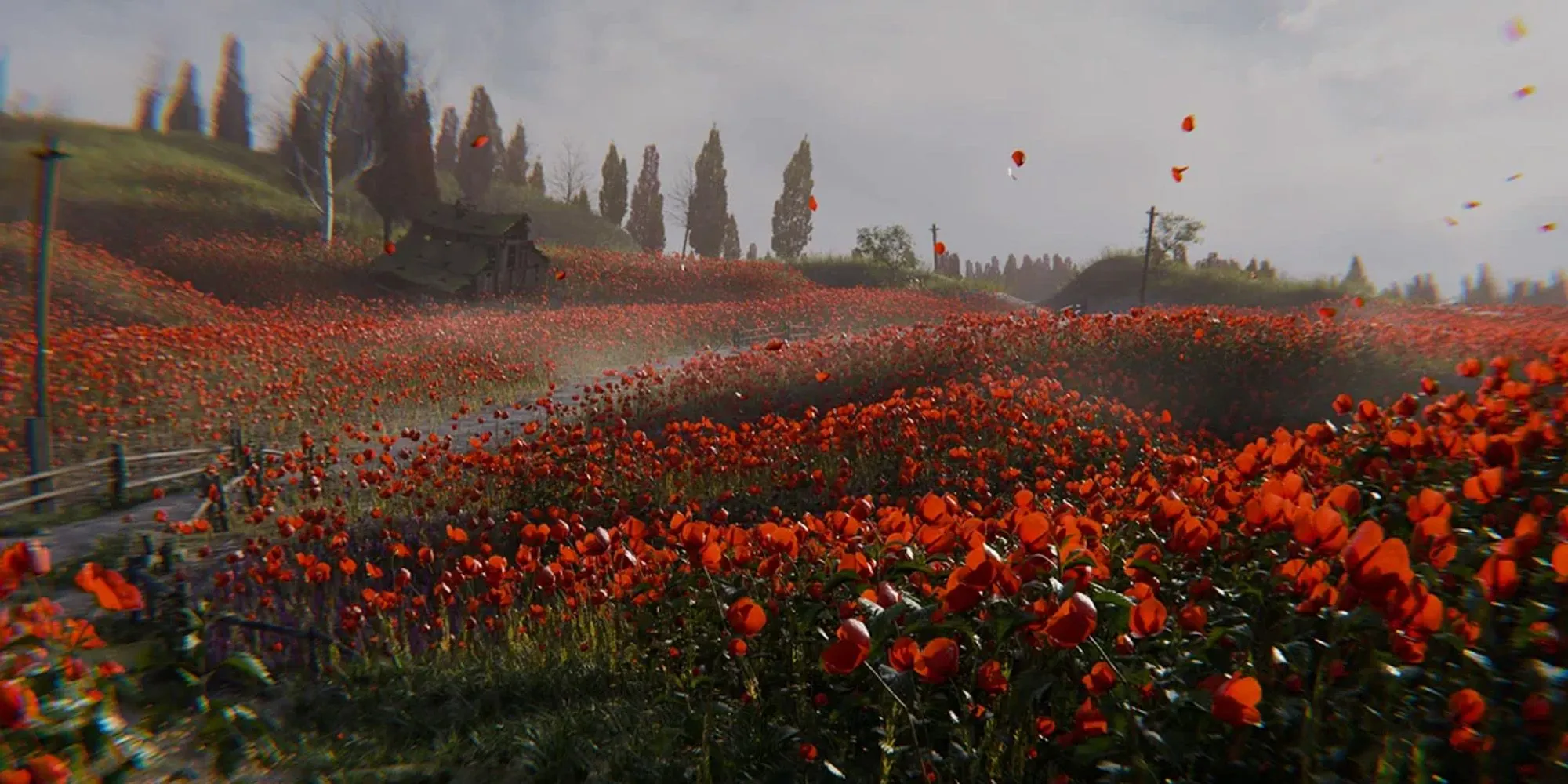 Nhiệm vụ phụ The Poppy Field STALKER 2